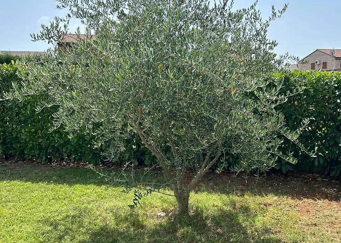 别墅 Istrian Melany