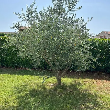 Villa Istrian Melany